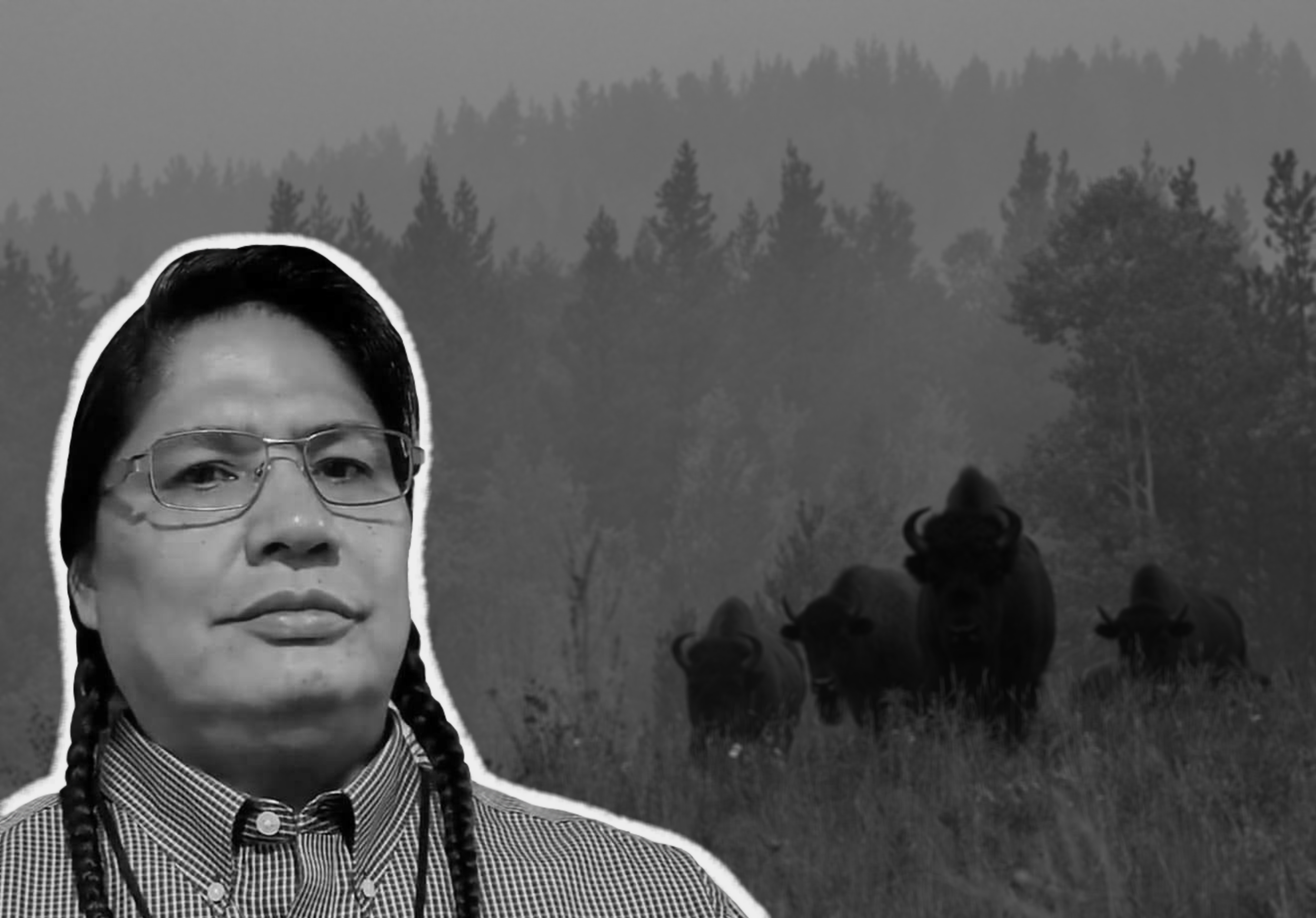 Nez Perce Conservation Biologist James Holt on Protecting the Last Wild Bison
